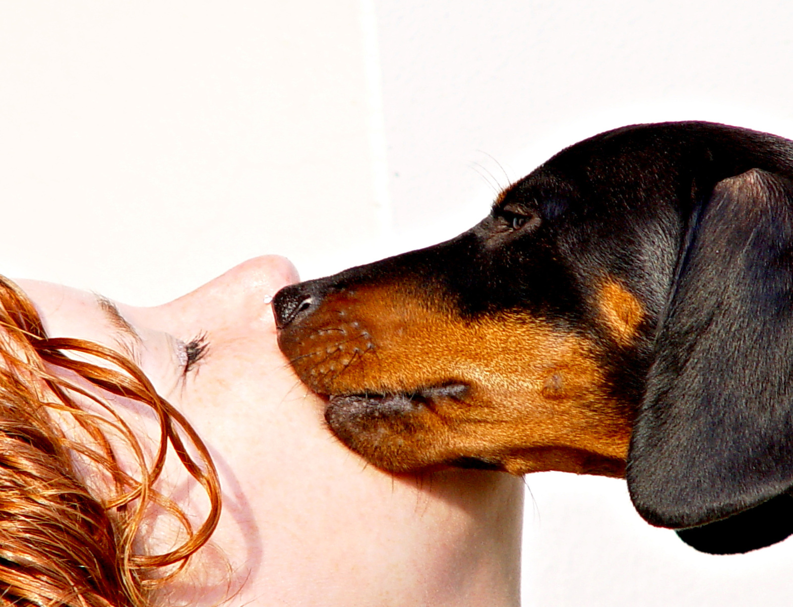 dog kissing girl on face