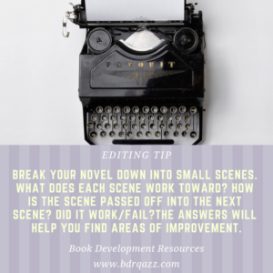 Editing Tip: Break your novel down into small scenes. What does each scene work toward? How is the scene passed off into the next scene? Did it work/fail? The answers will help you find areas of improvement.