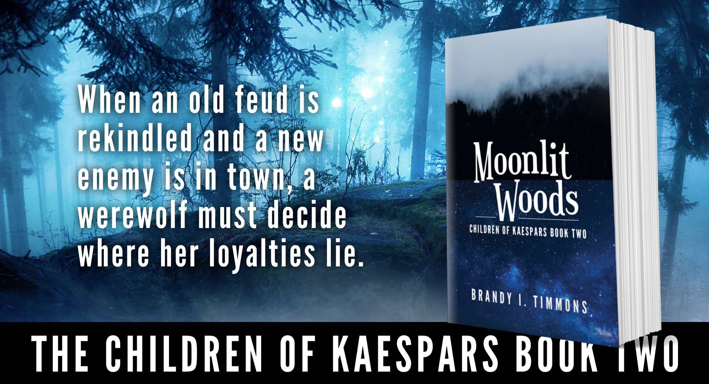 Moonlit Woods by Brandy I Timmons now available on Amazon