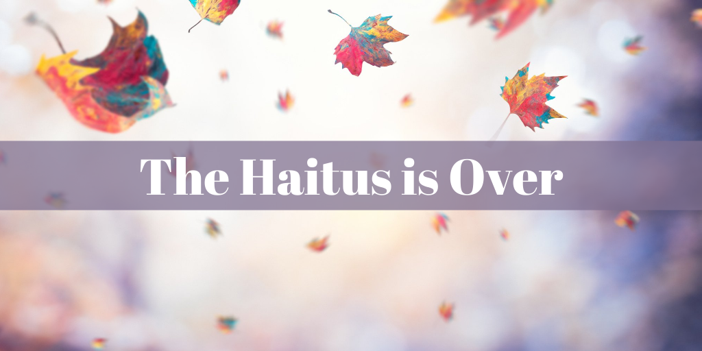 the haitus is over blog title